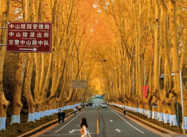 Tour du lịch HongKong | Thẩm Quyến - Quảng Châu - Chu Hải | 5N4Đ