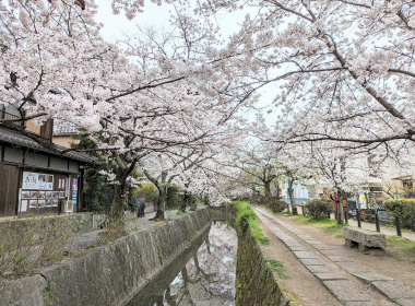 Tour du lịch Nhật Bản| Osaka - Nara - Kyoto - Nagoya - Yamanashi - Tokyo| 5N5Đ