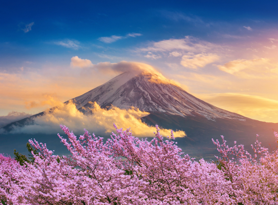 Tour du lịch Nhật Bản| Osaka - Nara - Kyoto - Nagoya - Yamanashi - Tokyo| 5N5Đ